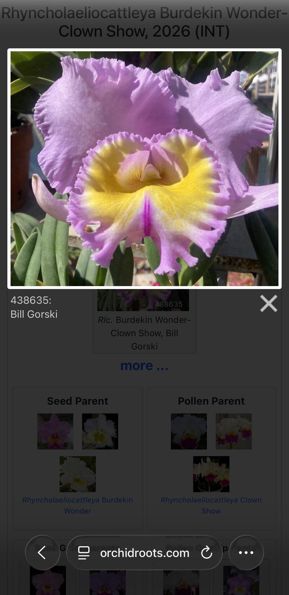 Rlc. Burkedin Wonder-Clown Show NBS